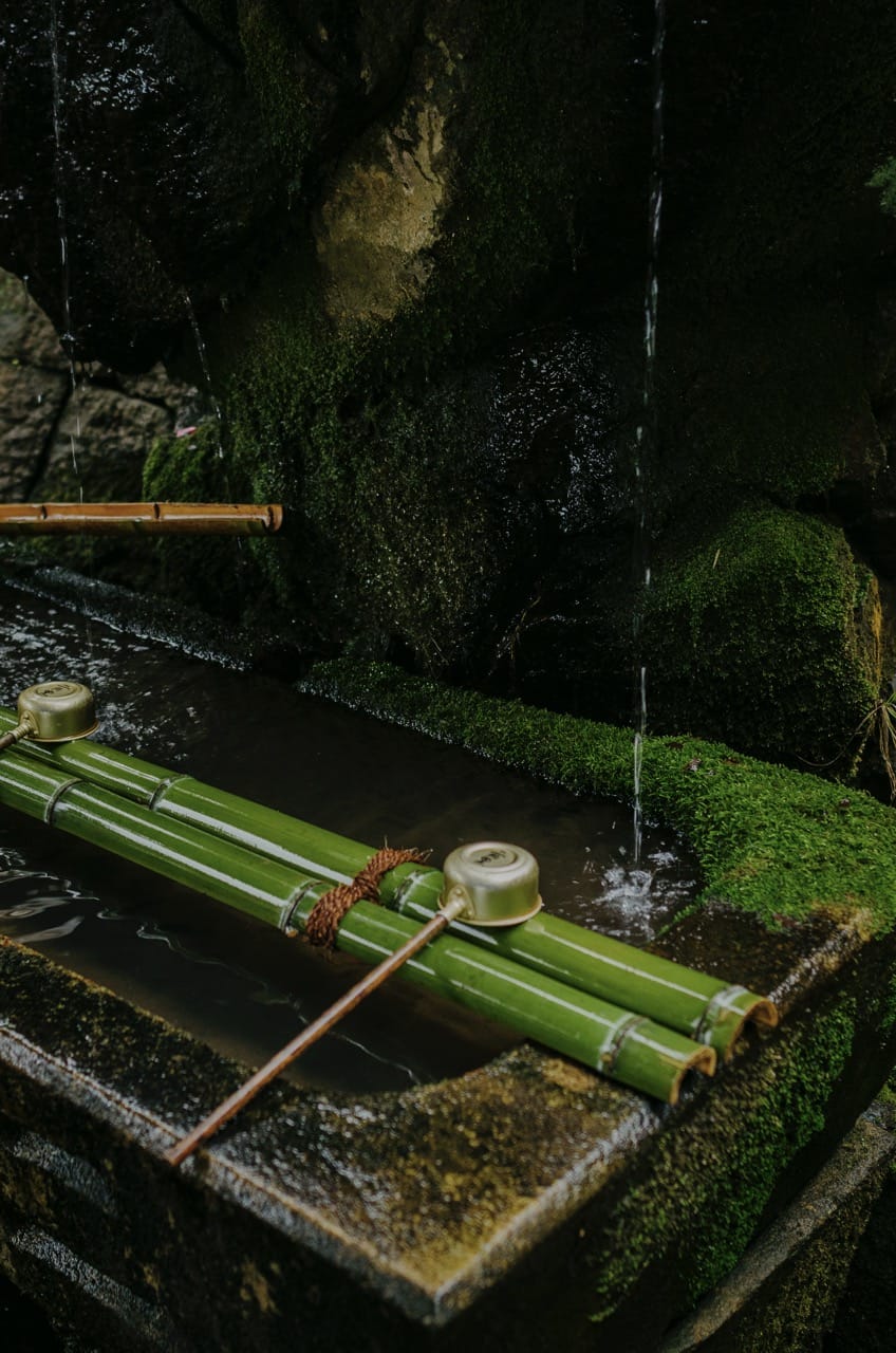 Превью Nara 2024